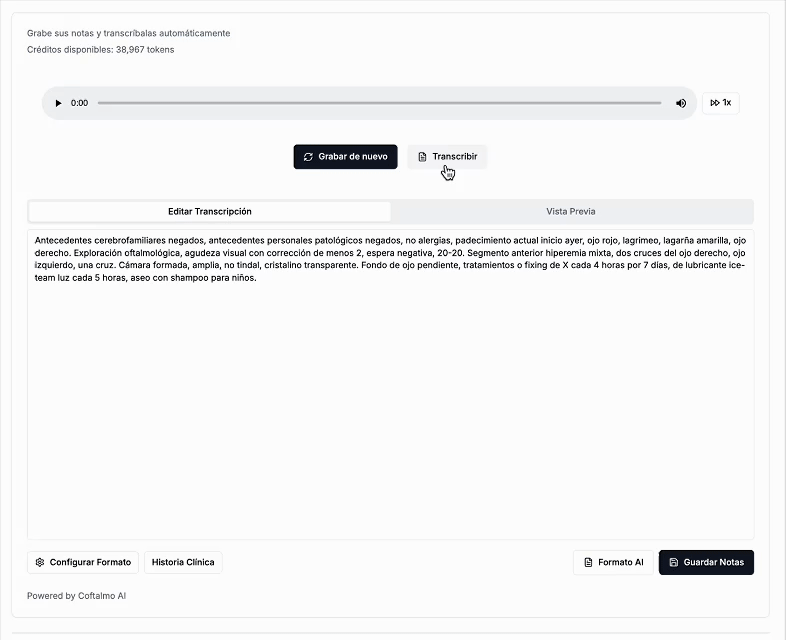 Voice to Text Demo